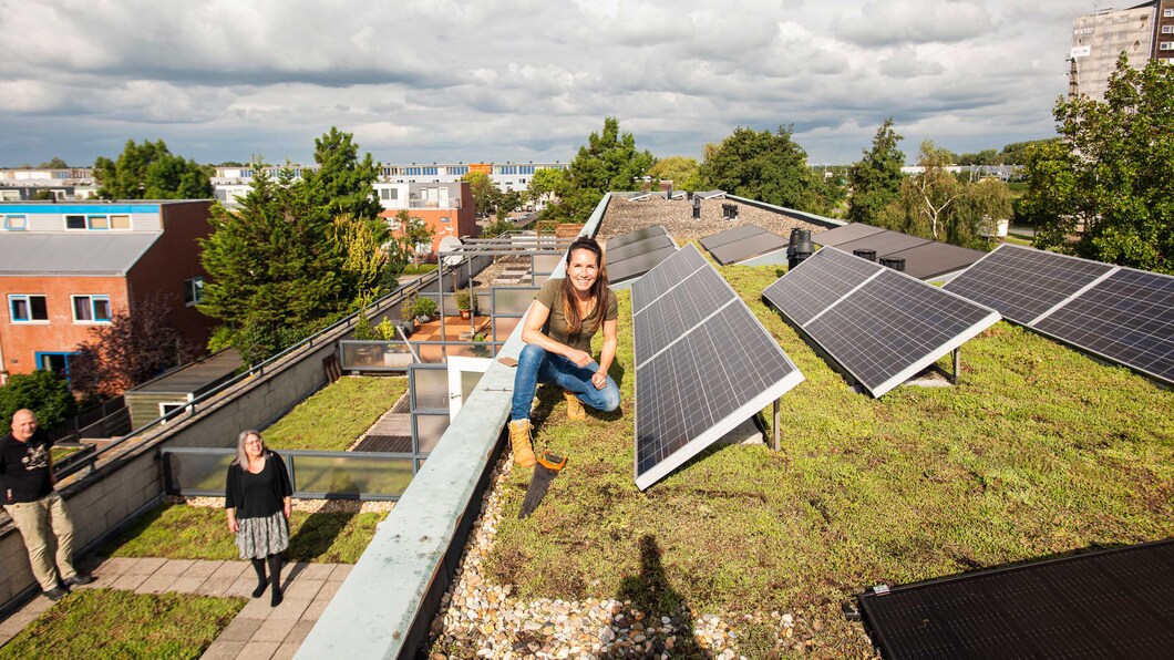 zonnepanelen