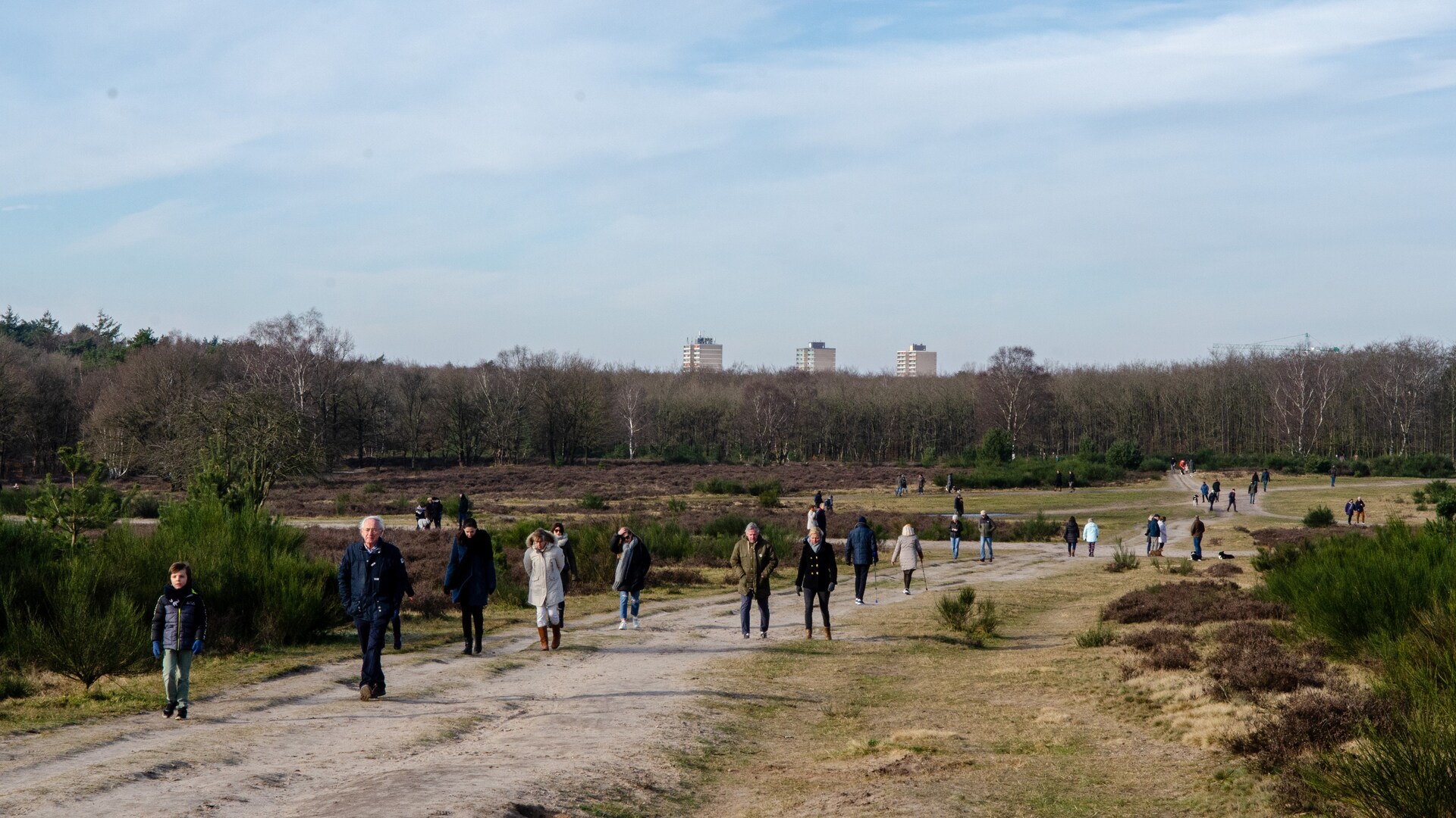 Heide hilversum wandelaars corona