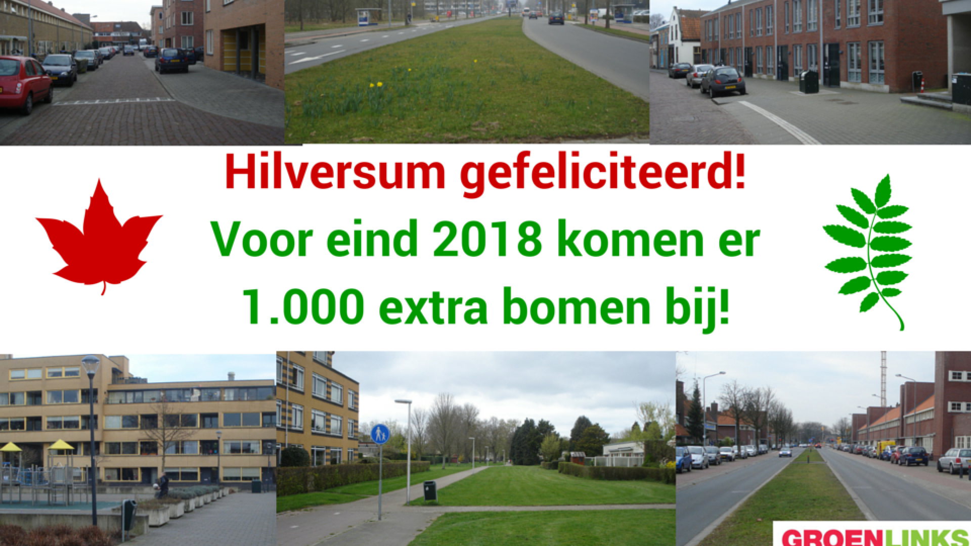 Bomen Hilversum